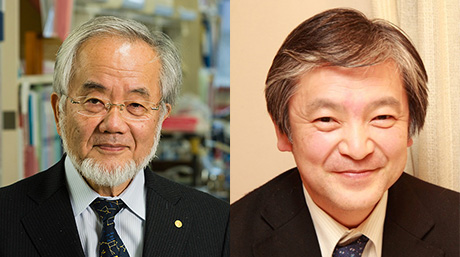 鈴木啓介教授が日本学士院会員に